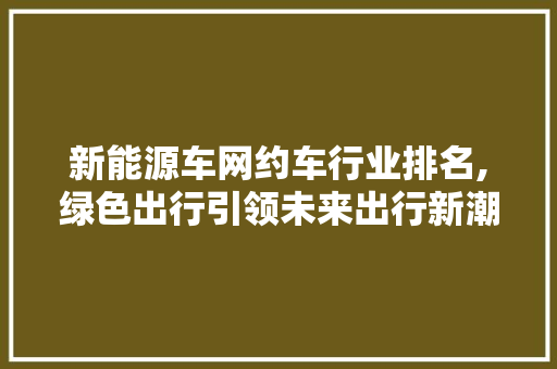 新能源车网约车行业排名,绿色出行引领未来出行新潮流