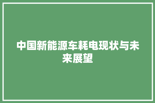 中国新能源车耗电现状与未来展望 新车资讯