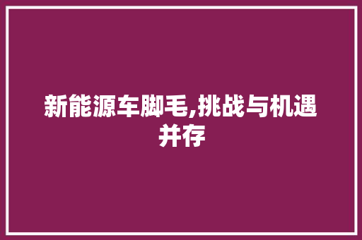 新能源车脚毛,挑战与机遇并存