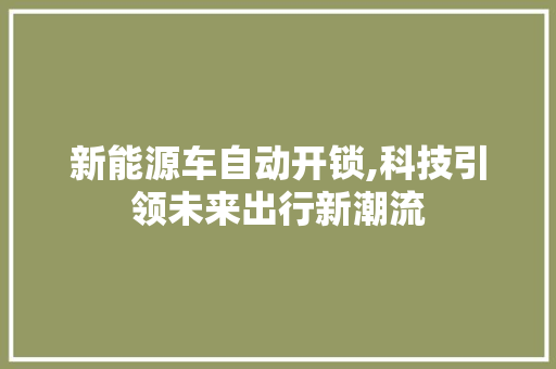 新能源车自动开锁,科技引领未来出行新潮流