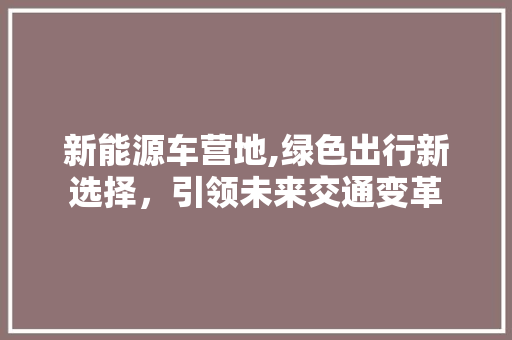新能源车营地,绿色出行新选择，引领未来交通变革