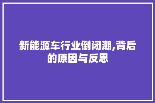 新能源车行业倒闭潮,背后的原因与反思