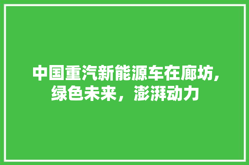 中国重汽新能源车在廊坊,绿色未来，澎湃动力