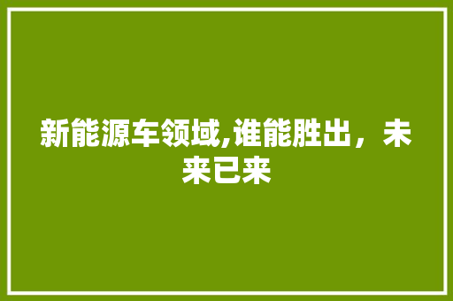 新能源车领域,谁能胜出，未来已来