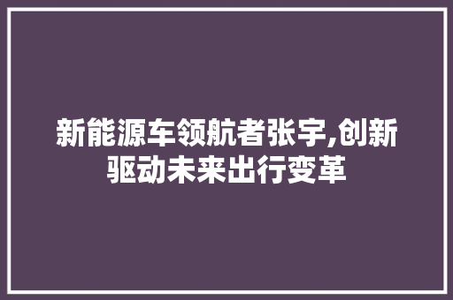 新能源车领航者张宇,创新驱动未来出行变革