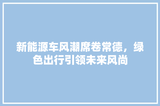 新能源车风潮席卷常德，绿色出行引领未来风尚 智能驾驶