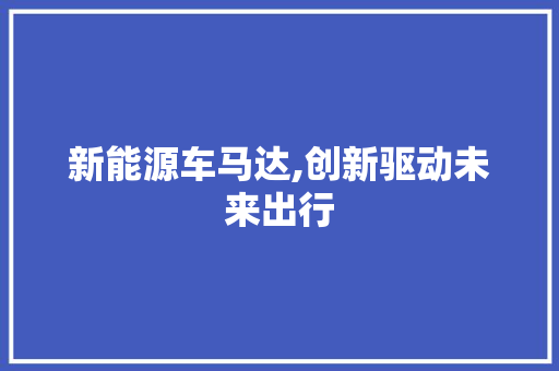 新能源车马达,创新驱动未来出行
