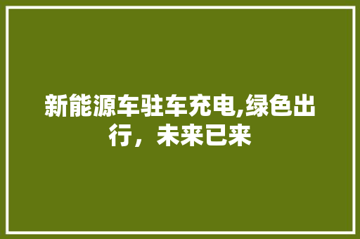 新能源车驻车充电,绿色出行，未来已来 汽车配件
