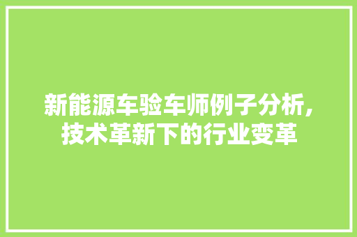 新能源车验车师例子分析,技术革新下的行业变革