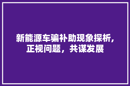 新能源车骗补助现象探析,正视问题，共谋发展