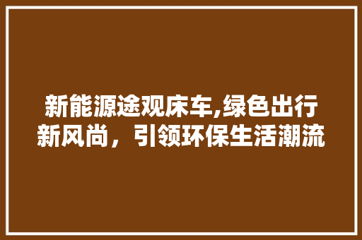 新能源途观床车,绿色出行新风尚，引领环保生活潮流