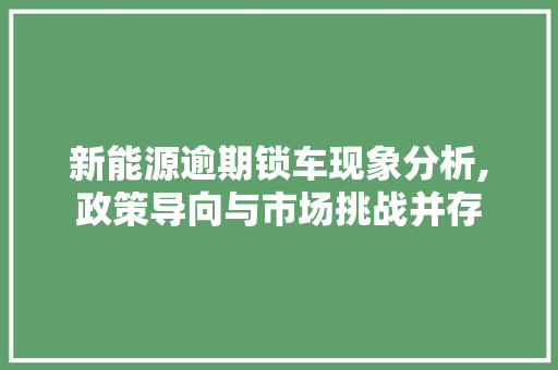 新能源逾期锁车现象分析,政策导向与市场挑战并存 智能驾驶