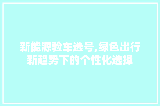 新能源验车选号,绿色出行新趋势下的个性化选择