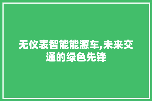 无仪表智能能源车,未来交通的绿色先锋