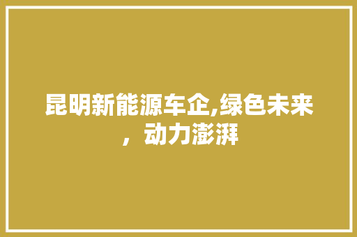 昆明新能源车企,绿色未来，动力澎湃