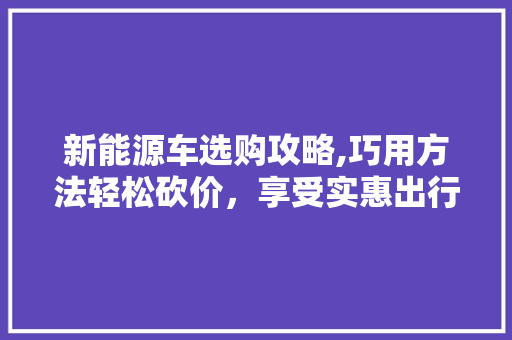 新能源车选购攻略,巧用方法轻松砍价，享受实惠出行