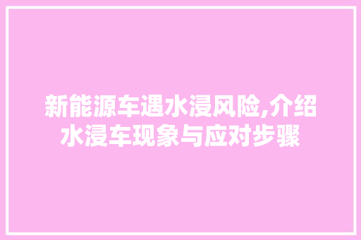 新能源车遇水浸风险,介绍水浸车现象与应对步骤