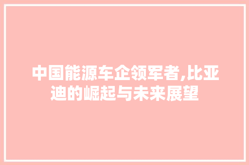 中国能源车企领军者,比亚迪的崛起与未来展望