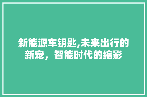 新能源车钥匙,未来出行的新宠，智能时代的缩影 车载导航