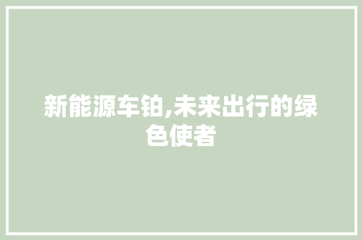 新能源车铂,未来出行的绿色使者