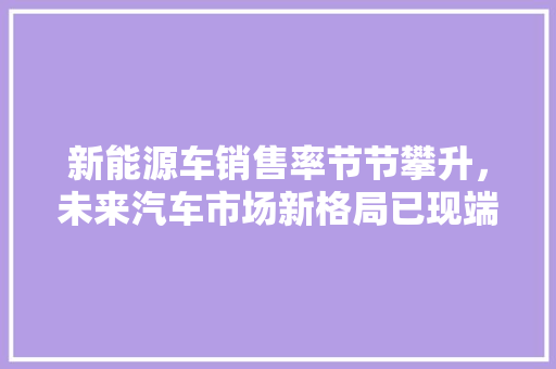 新能源车销售率节节攀升，未来汽车市场新格局已现端倪 新能源汽车