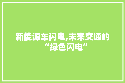 新能源车闪电,未来交通的“绿色闪电”
