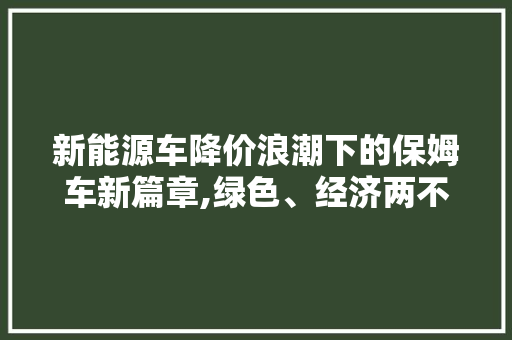新能源车降价浪潮下的保姆车新篇章,绿色、经济两不误