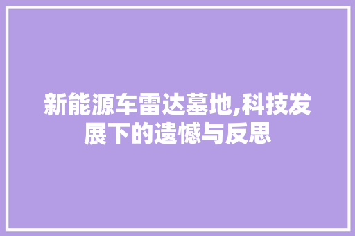 新能源车雷达墓地,科技发展下的遗憾与反思