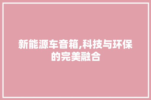 新能源车音箱,科技与环保的完美融合