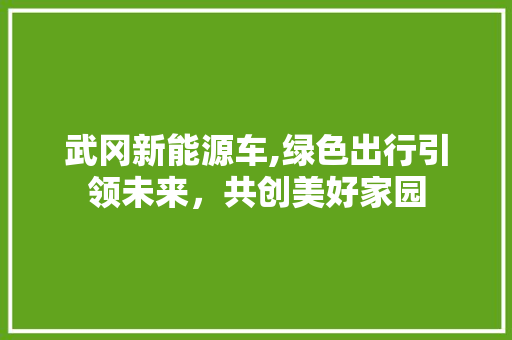 武冈新能源车,绿色出行引领未来，共创美好家园
