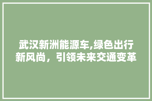 武汉新洲能源车,绿色出行新风尚，引领未来交通变革