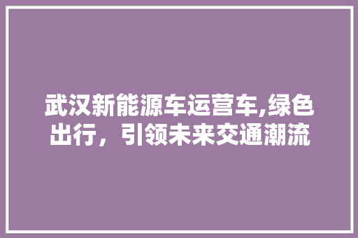 武汉新能源车运营车,绿色出行，引领未来交通潮流