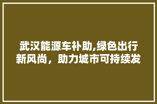 武汉能源车补助,绿色出行新风尚，助力城市可持续发展