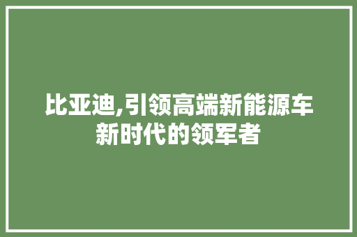 比亚迪,引领高端新能源车新时代的领军者