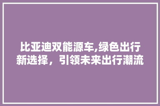 比亚迪双能源车,绿色出行新选择，引领未来出行潮流
