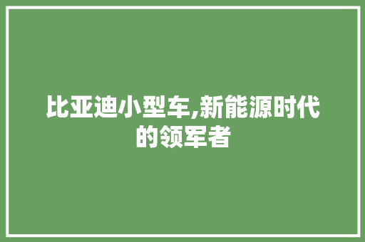 比亚迪小型车,新能源时代的领军者