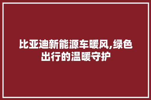 比亚迪新能源车暖风,绿色出行的温暖守护 智能驾驶