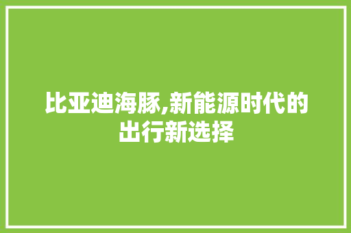 比亚迪海豚,新能源时代的出行新选择