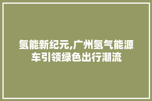 氢能新纪元,广州氢气能源车引领绿色出行潮流