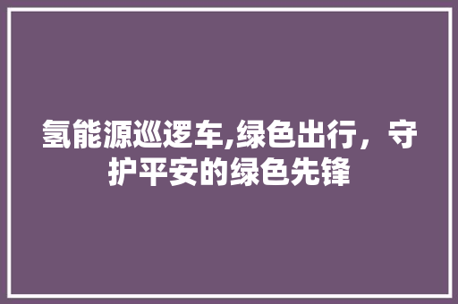 氢能源巡逻车,绿色出行，守护平安的绿色先锋