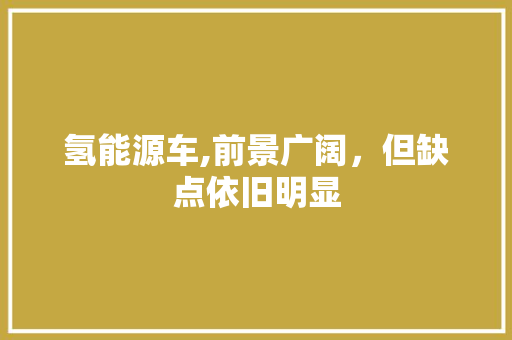 氢能源车,前景广阔，但缺点依旧明显