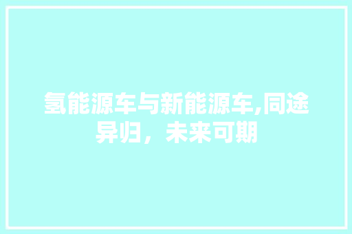 氢能源车与新能源车,同途异归，未来可期