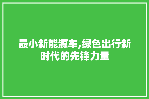 最小新能源车,绿色出行新时代的先锋力量