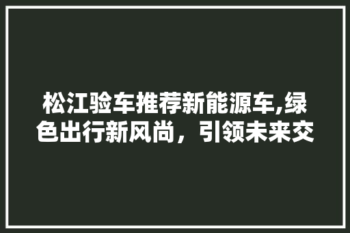 松江验车推荐新能源车,绿色出行新风尚，引领未来交通潮流 汽车轮胎
