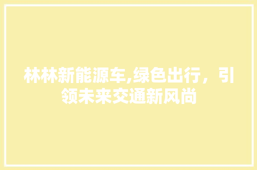 林林新能源车,绿色出行，引领未来交通新风尚