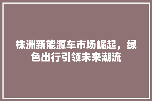 株洲新能源车市场崛起，绿色出行引领未来潮流