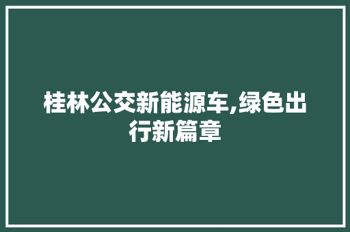 桂林公交新能源车,绿色出行新篇章
