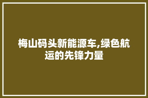 梅山码头新能源车,绿色航运的先锋力量