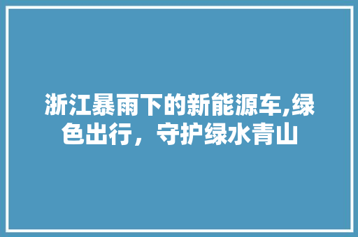 浙江暴雨下的新能源车,绿色出行，守护绿水青山