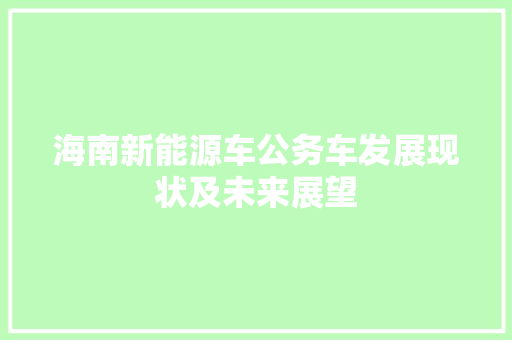 海南新能源车公务车发展现状及未来展望